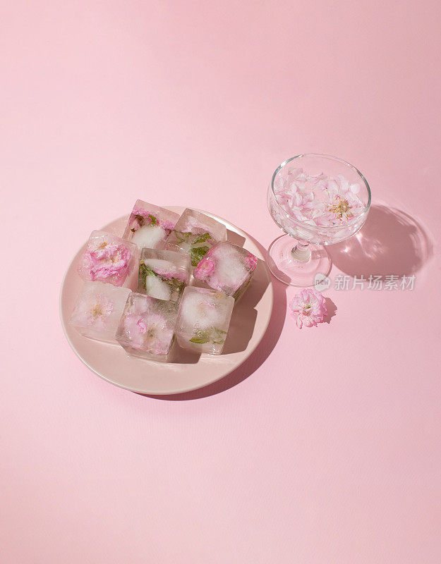 Beautiful small pink flowers in ice cubes and glass with petals on pink plate on pink background, top view